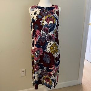 Adorable Ann Taylor dress